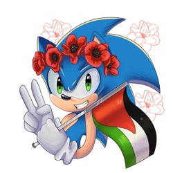 Size: 2000x2000 | Tagged: safe, artist:izzhaziqofficial40, sonic the hedgehog, 2025, country flag, flag, flower, flower crown, free palestine, holding something, looking at viewer, palestine flag, simple background, smile, smiling at viewer, solo, v sign, white background