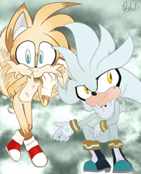 Size: 1615x1999 | Tagged: safe, artist:galaxy-petals, miles "tails" prower, silver the hedgehog, fox, hedgehog, 2022, abstract background, clouds, duo, duo male, flying, frown, fur markings, looking at viewer, looking offscreen, male, males only, mid-air, signature, smile, smiling at viewer, squatting