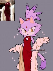 Size: 1536x2048 | Tagged: safe, artist:goitia_nah99447, blaze the cat