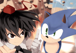 Size: 800x566 | Tagged: safe, artist:loki-fox, sonic the hedgehog, hedgehog, crossover, female, humanoid, male, shameimaru aya, touhou