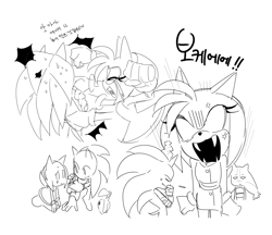 Size: 1836x1587 | Tagged: safe, artist:guitar_00000001, amy rose, sonic the hedgehog, sticks the badger, sonic frontiers, 2025, amy x sonic, angry, flower, greyscale, holding something, koco, korean text, looking at each other, looking at them, monochrome, punching, shipping, simple background, sonic boom (tv), standing, straight, sweat, trio, white background