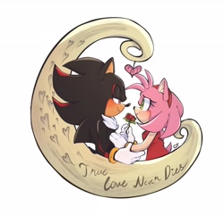 Size: 2048x1973 | Tagged: safe, artist:qtcakesentry, amy rose, shadow the hedgehog, hedgehog, 2025, age difference, amy x shadow, blushing, crescent moon, duo, english text, female, flower, heart, holding something, lidded eyes, looking at each other, male, moon, rose, shipping, simple background, smile, smiling at each other, standing, straight, text, white background
