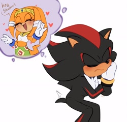 Size: 2048x1965 | Tagged: safe, artist:qtcakesentry, shadow the hedgehog, tikal, echidna, hedgehog, 2025, blushing, female, flat colors, frown, head rest, heart, male, shadikal, shipping, simple background, sitting, smile, solo, straight, thinking, thought bubble, wagging tail, white background