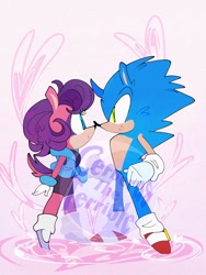 Size: 768x1024 | Tagged: safe, artist:cerberustheterrible, sally acorn, sonic the hedgehog, chipmunk, hedgehog, 2024, duo, heart, heart background, looking at viewer, sally x sonic, sally's ringblader outfit, shipping, straight, watermark