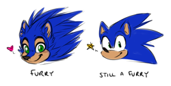 Size: 1083x547 | Tagged: safe, artist:survivalstep, sonic the hedgehog, hedgehog, 2018, duality, english text, flat colors, furry, head only, heart, looking at viewer, male, simple background, solo, solo male, star (symbol), text, white background
