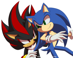 Size: 1459x1165 | Tagged: safe, artist:myly14, shadow the hedgehog, sonic the hedgehog, hedgehog, 2013, duo, duo male, frown, looking at each other, male, males only, simple background, smile, transparent background