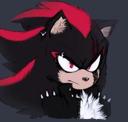 Size: 1258x1200 | Tagged: safe, artist:pirog-art, shadow the hedgehog, hedgehog, 2020, alternate outfit, bleeding, blood, bust, cheek fluff, chest fluff, ear fluff, ear piercing, earring, eyebrow piercing, face piercing, frown, grey background, icon, injured, jacket, male, scar, simple background, solo, solo male