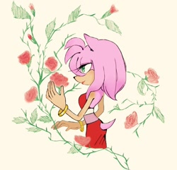 Size: 1280x1236 | Tagged: safe, artist:lightpinkhibiscus, amy rose, hedgehog, 2015, bracelet, female, flower, gloves off, lidded eyes, rose, side view, simple background, smile, solo, solo female, standing