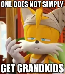 Size: 495x559 | Tagged: safe, miles "tails" prower, fox, caption, edit, edited screencap, english text, male, meme, one does not simply, screencap, solo, solo male, sonic boom (tv), squinting, text
