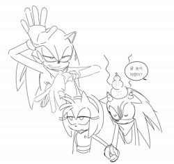 Size: 1937x1830 | Tagged: safe, artist:guitar_00000001, amy rose, sonic the hedgehog, 2025, duo, eyes closed, greyscale, holding hands, injured, korean text, lidded eyes, monochrome, simple background, sketch, sonic boom (tv), speech bubble, white background
