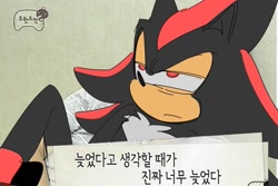 Size: 951x637 | Tagged: safe, artist:guitar_00000001, shadow the hedgehog, 2025, korean text, lidded eyes, photographic background, solo