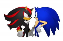 Size: 1858x1216 | Tagged: safe, artist:guitar_00000001, shadow the hedgehog, sonic the hedgehog, 2025, duo, frown, looking at each other, looking at them, simple background, smile, standing, white background