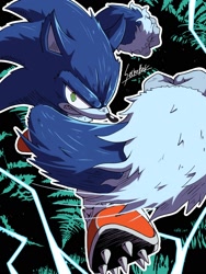Size: 1500x2000 | Tagged: safe, artist:secretter_zgwl, sonic the hedgehog, sonic unleashed, clenched fists, clenched teeth, looking at viewer, male, sharp teeth, signature, solo, sonic the werehog, were form, werehog