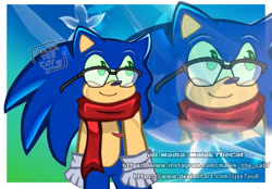 Size: 1284x896 | Tagged: safe, artist:malekthecat7, sonic the hedgehog, glasses, trans male, transgender