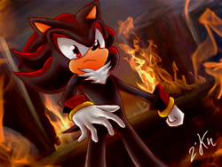 Size: 800x600 | Tagged: safe, artist:2knight, shadow the hedgehog, hedgehog, 2011, clenched fist, fire, flame, frown, looking at viewer, male, outdoors, signature, solo, standing