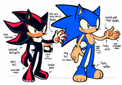 Size: 2048x1429 | Tagged: safe, artist:mercurio-shadowz, shadow the hedgehog, sonic the hedgehog, hedgehog, 2026, arrow, barefoot, chest fluff, duo, english text, frown, heart chest, leg fluff, looking offscreen, male, pawpads, paws, reference sheet, simple background, smile, text, white background, wrist fluff