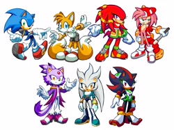 Size: 4096x3063 | Tagged: safe, artist:buttjavis, amy rose, blaze the cat, knuckles the echidna, miles "tails" prower, shadow the hedgehog, silver the hedgehog, sonic the hedgehog