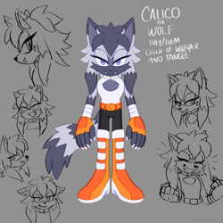 Size: 2000x2000 | Tagged: safe, artist:emthimofnight, oc, oc:calico the wolf, wolf, 2024, alternate universe, character name, english text, fankid, flat colors, grey background, magical lesbian spawn, nonbinary, oc only, parent:tangle, parent:whisper, parents:whispangle, pronouns, reference sheet, simple background, smile, solo, standing, text
