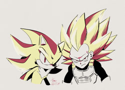 Size: 937x679 | Tagged: safe, artist:thomas_rsvd, shadow the hedgehog, super shadow, hedgehog, human, 2025, dragon ball, duo, grey background, looking at viewer, male, simple background, super form, vegeta (dbz)