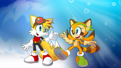 Size: 5333x3000 | Tagged: safe, marine the raccoon, miles "tails" prower, fox, raccoon, animals don't wear clothes, boy, cartoonicus, clothes, girl, goggles, half dressed, half dressed cartoon animal, inverse sonic style, naked, outfit swap, tails the fox, unclothed