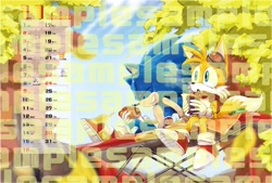 Size: 1200x812 | Tagged: safe, artist:9noca, miles "tails" prower, sonic the hedgehog, series:sonic fan calendar 2025, airplane, chili dog, daytime, duo, eyes closed, food, goggles, goggles on head, holding something, mouth open, outdoors, sitting, smile, tornado i, tree