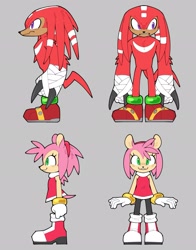 Size: 1606x2048 | Tagged: safe, artist:8xenon8, artist:shadails, amy rose, knuckles the echidna, 2021, alternate outfit, arm fluff, duo, flat colors, frown, fur markings, grey background, leggings, looking at viewer, looking offscreen, redesign, redraw, simple background, smile, standing