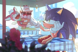 Size: 1200x810 | Tagged: safe, artist:cham__623, chip, sonic the hedgehog, hedgehog, sonic unleashed, 2025, alternate version, apotos, backlighting, chili dog, daytime, duo, eyes closed, food, grin, head rest, ice cream, looking at them, male, mouth open, outdoors, sitting, smile, sundae supreme, table