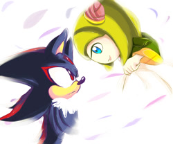Size: 1200x1000 | Tagged: safe, artist:xibalbapiixan, cosmo the seedrian, shadow the hedgehog, 2013, duo, frown, looking at each other, petal, petals, simple background, smile, white background