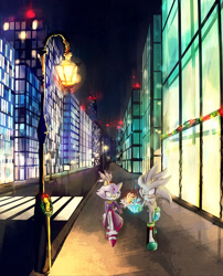 Size: 889x1100 | Tagged: safe, artist:splushmaster12, blaze the cat, silver the hedgehog, cat, hedgehog, 2015, building, christmas, city, duo, female, light, male, nighttime, shipping, silvaze, star (sky), straight, street, street light, walking