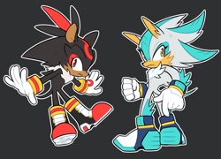 Size: 1354x975 | Tagged: safe, artist:8xenon8, artist:shadails, shadow the hedgehog, silver the hedgehog, hedgehog, 2019, arm fluff, black background, chest fluff, color swap, duo, eyelashes, flat colors, frown, fur markings, leg fluff, looking at viewer, neck fluff, outline, ponytail, redesign, simple background, standing