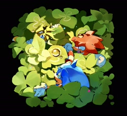 Size: 2048x1860 | Tagged: safe, artist:afajiao, knuckles the echidna, miles "tails" prower, sonic the hedgehog, 2026, black background, from above, looking at them, mouth open, plant, simple background, team sonic, trio, water