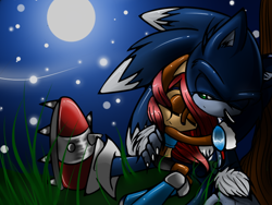 Size: 672x504 | Tagged: safe, artist:xliquidsilverx, sally acorn, sonic the hedgehog, chipmunk, hedgehog, 2013, duo, female, grass, hugging, male, moon, nighttime, sally x sonic, sally's ringblader outfit, shipping, sitting, sonic the werehog, star (sky), straight, werehog