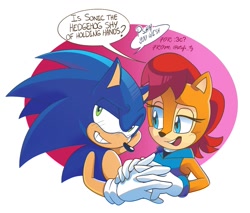 Size: 1171x1000 | Tagged: safe, artist:tz_stefi_, sally acorn, sonic the hedgehog, chipmunk, hedgehog, 2022, blushing, dialogue, duo, english text, female, holding something, male, sally x sonic, sally's ringblader outfit, shipping, speech bubble, straight