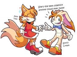 Size: 1584x1170 | Tagged: safe, artist:dapuffster, cream the rabbit, miles "tails" prower, alternate universe, role swap