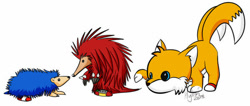 Size: 600x254 | Tagged: safe, artist:hylian-rinku, knuckles the echidna, miles "tails" prower, sonic the hedgehog, 2013, animalified, literal animal, signature, simple background, team sonic, trio, white background
