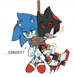 Size: 1472x1532 | Tagged: safe, artist:bb_meronpan, shadow the hedgehog, sonic the hedgehog, 2025, angry, clenched teeth, cross popping vein, duo, english text, gay, lidded eyes, mouth open, rope, shadow x sonic, shipping, simple background, tied up, white background