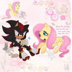 Size: 2048x2048 | Tagged: safe, artist:_bbutterfry, shadow the hedgehog, fluttershy, my little pony
