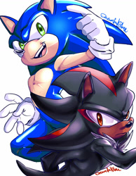 Size: 1024x1317 | Tagged: safe, artist:dreamfulblue, shadow the hedgehog, sonic the hedgehog, hedgehog, 2019, dark skin, duo, frown, looking at viewer, signature, simple background, smile, style comparison, white background