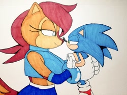 Size: 1024x768 | Tagged: safe, artist:tvict101, sally acorn, sonic the hedgehog, chipmunk, hedgehog, 2021, alternate universe, carrying them, dialogue, duo, female, height difference, looking at each other, macro, male, sally x sonic, sally's ringblader outfit, shipping, simple background, straight, traditional media, white background