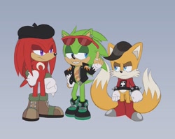 Size: 1401x1116 | Tagged: safe, artist:itoruna-the-platypus, miles (anti-mobius), scourge the hedgehog, echidna, fox, hedgehog, 2024, anti-mobius, flat colors, frown, grey background, hand on hip, lidded eyes, looking at each other, looking at them, o'nux (anti-mobius), simple background, smile, standing, team anti-mobius, trio