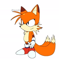 Size: 2048x2048 | Tagged: safe, artist:speedster_art, miles "tails" prower, fox, 2026, fur markings, looking offscreen, male, redesign, signature, simple background, solo, solo male, standing, white background