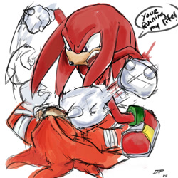 Size: 1024x1024 | Tagged: safe, artist:decision-to-protect, knuckles the echidna, echidna, 2014, angry, dialogue, duo, duo male, english text, eyes closed, grammatical error, looking at them, lying down, male, males only, mouth open, one fang, punching, self paradox, sharp teeth, signature, simple background, sonic boom (tv), speech bubble, standing, text, typo, white background, yelling