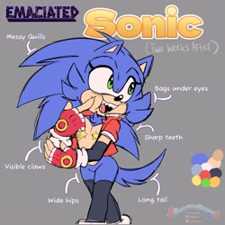 Size: 2048x2048 | Tagged: safe, artist:sumpthinphishy, sonic the hedgehog, hedgehog, 2025, alternate outfit, alternate universe, arrow, au:sonic emaciated, character name, cheek squish, chest fluff, claws, color palette, dark bags under eyes, english text, eyelashes, femboy, fingerless gloves, flat colors, gloves, grey background, jacket, long tail, male, mouth open, sharp teeth, simple background, smile, socks, solo, stockings, tail fluff, text, top surgery scars, trans male, transgender