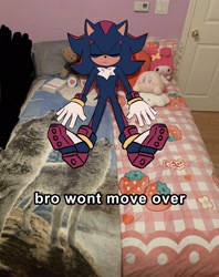 Size: 1621x2048 | Tagged: safe, artist:nenemyun, shadow the hedgehog, hedgehog, wolf, 2026, bed, bedroom, caption, door, english text, eyes closed, flat colors, frown, indoors, kirby, lying down, male, meme, my melody, photographic background, pillow, sanrio, text