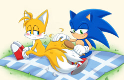Size: 1264x816 | Tagged: safe, artist:shotapop, editor:tchelows, miles "tails" prower, sonic the hedgehog, fox, hedgehog, 2026, age difference, blanket, blushing, brushing, brushing tail, color edit, duo, edit, gay, gradient background, grass, hairbrush, lidded eyes, looking at something, looking at them, outdoors, shedding, shipping, sitting, smile, sonic x tails