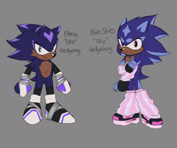 Size: 2048x1720 | Tagged: safe, artist:sorbeau, oc, oc:blue skies "sky" the hedgehog, oc:elena "ellie" the hedgehog, hedgehog, 2025, alternate universe, arm warmers, character name, dark skin, duo, english text, fankid, female, frown, fur markings, grey background, leg warmers, looking at viewer, parent:shadow, parent:sonic, parents:sonadow, siblings, simple background, sisters, smile, standing, text