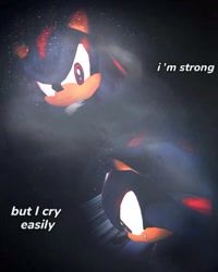 Size: 729x911 | Tagged: safe, artist:nenemyun, editor:nenemyun, shadow the hedgehog, hedgehog, sonic adventure 2, 2026, crying, edit, english text, male, solo, space colony ark, tears, text
