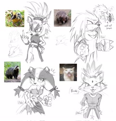 Size: 1965x2048 | Tagged: safe, artist:heisa030, blaze the cat, knuckles the echidna, sticks the badger, surge the tenrec, badger, cat, echidna, tenrec, 2026, bleh, claws, clenched fists, clenched teeth, crying, ear fluff, english text, female, food, frown, fruit, grapes, group, line art, looking at viewer, looking offscreen, male, middle finger, monochrome, reference inset, signature, simple background, standing, sweatdrop, text, tongue out, whiskers, white background