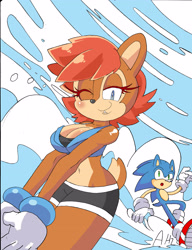 Size: 2542x3308 | Tagged: safe, artist:dreamcastzx, sally acorn, sonic the hedgehog, chipmunk, hedgehog, 2015, busty sally, daytime, deactivated deviantart account, duo, female, male, noticing, sally x sonic, sally's ringblader outfit, shipping, smile, stopping, straight
