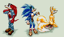 Size: 900x526 | Tagged: safe, artist:oddwarg, miles "tails" prower, sonic the hedgehog, 2010, abs, book, claws, clothes, eyewear on head, fingerless gloves, gilet, gloves, goggles, goggles on head, grey background, holding something, jeans, kneeling, looking offscreen, markerwork, pawpads, paws, simple background, standing, sunglasses, team sonic, toeless shoes, traditional media, trio, watch, whiskers